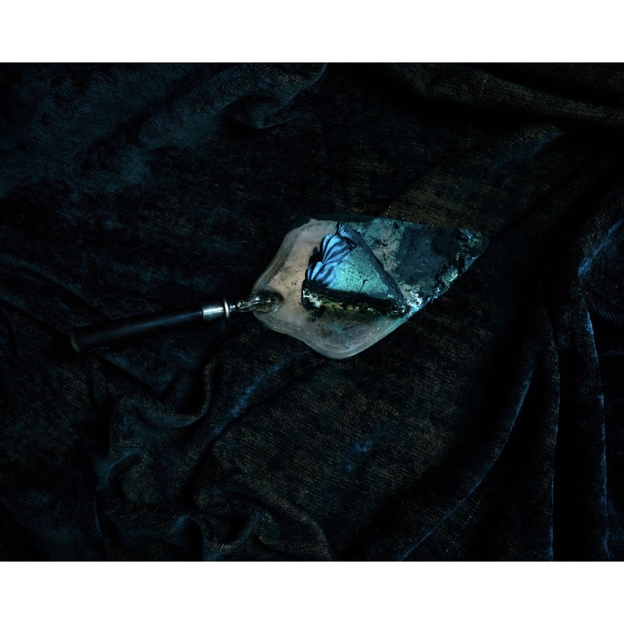 Cig Harvey