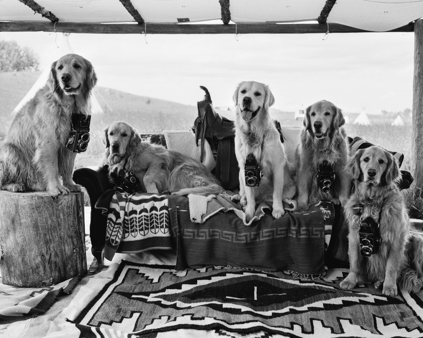 The Official Meeting of the Montana Rolleiflex Camera Club, Little Bear Ranch, Montana