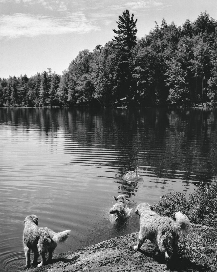 Camp Longwood, Adirondack Park, New York