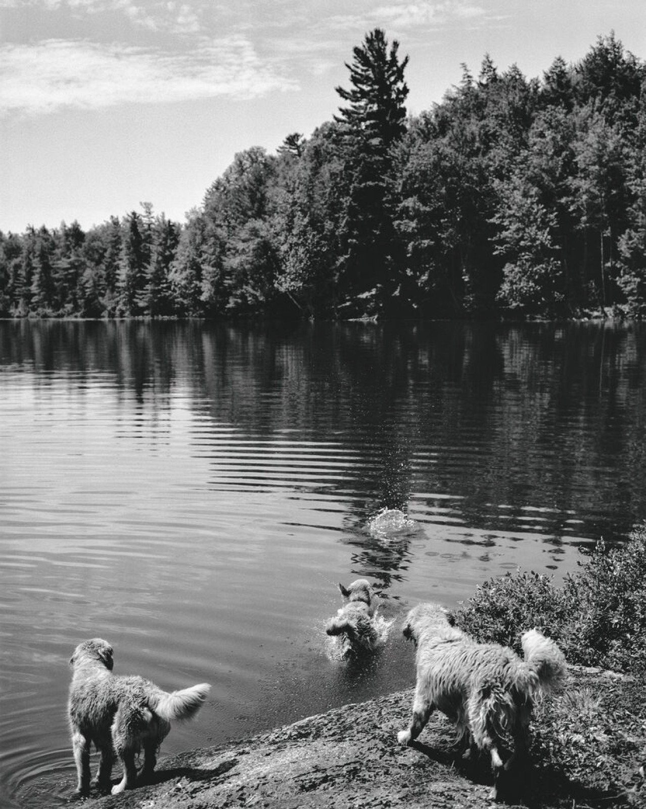 Camp Longwood, Adirondack Park, New York