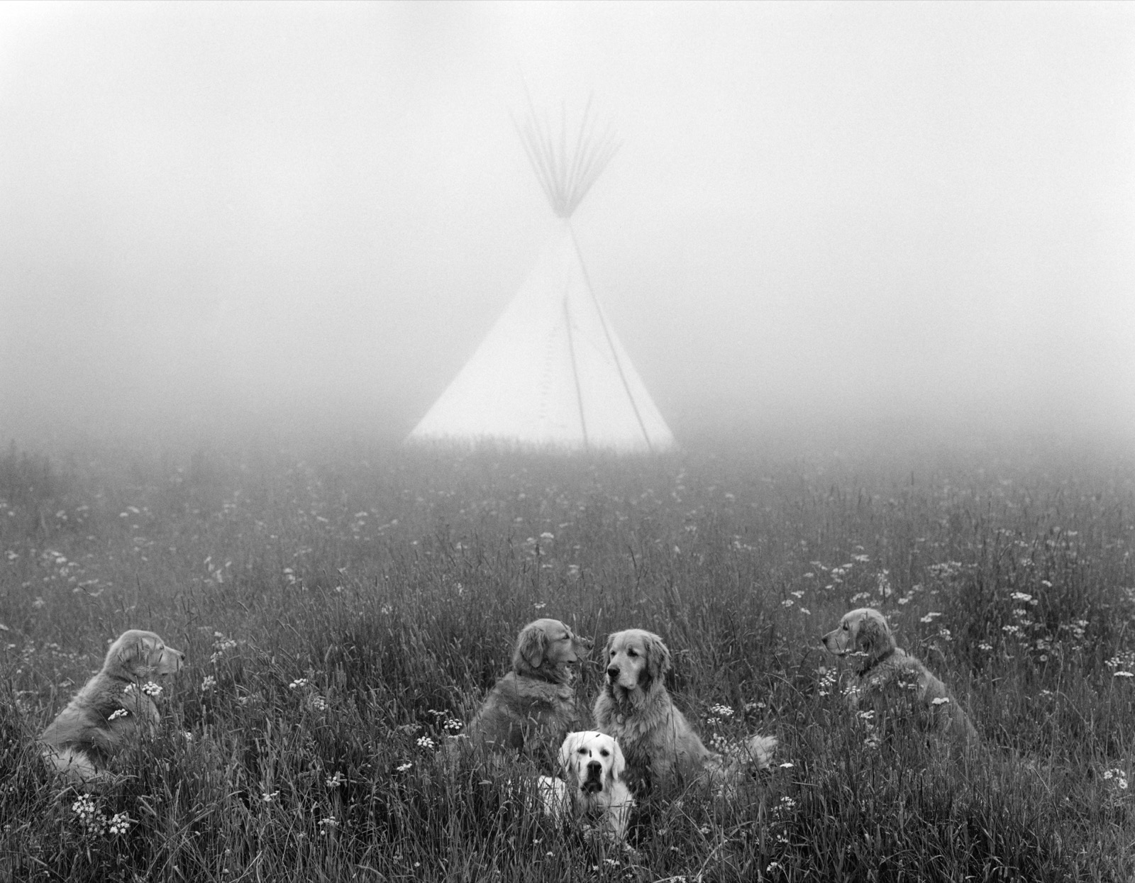 The Gang in Big Sky Country, Little Bear Ranch, McLeod, Montana