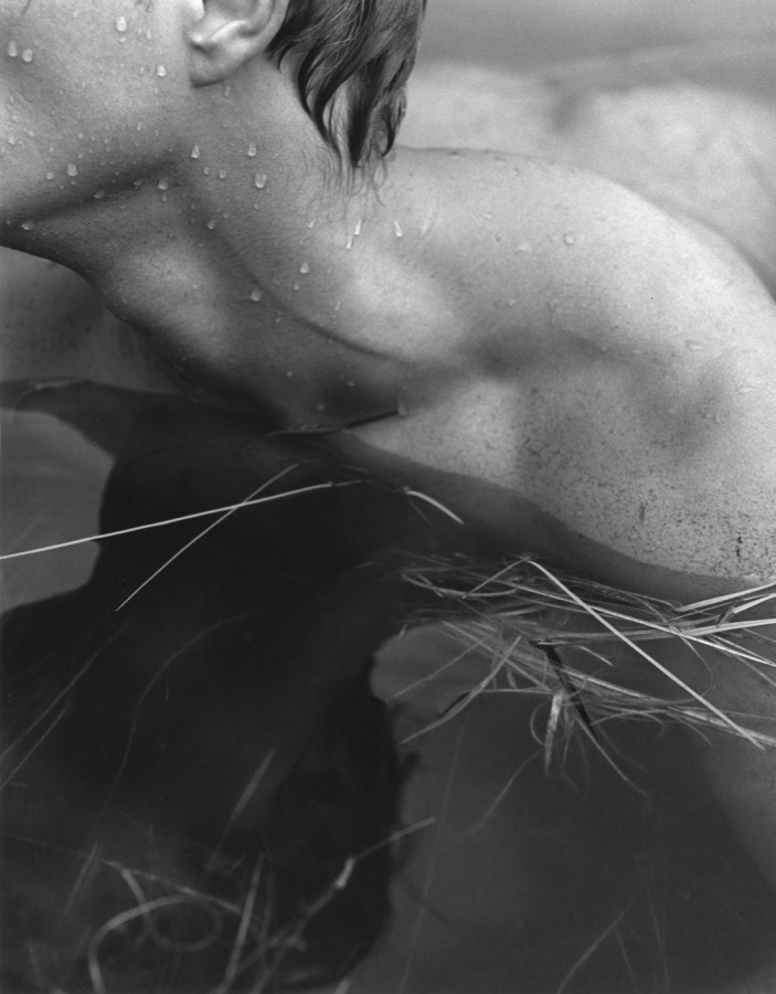Jason, Bear Pond, Adirondack Park, New York