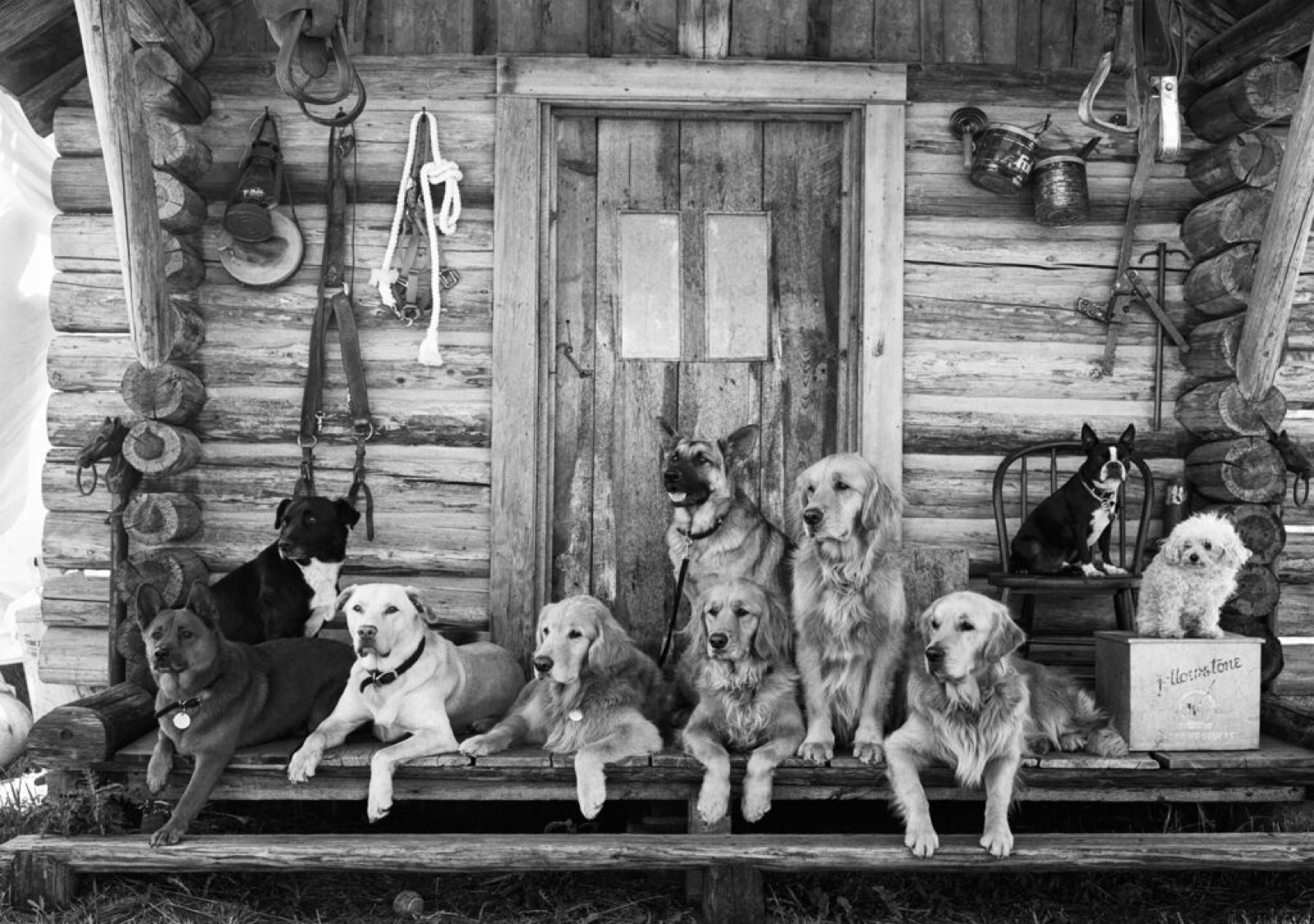 The Gang at Little Bear Ranch, McLeod, Montana