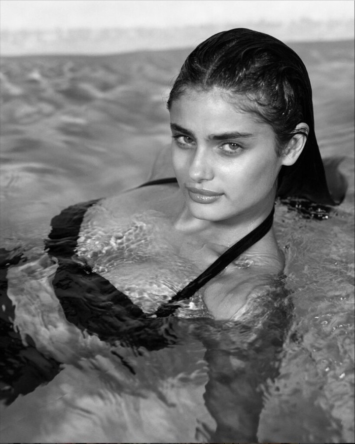 Taylor Hill, Golden Beach, Florida