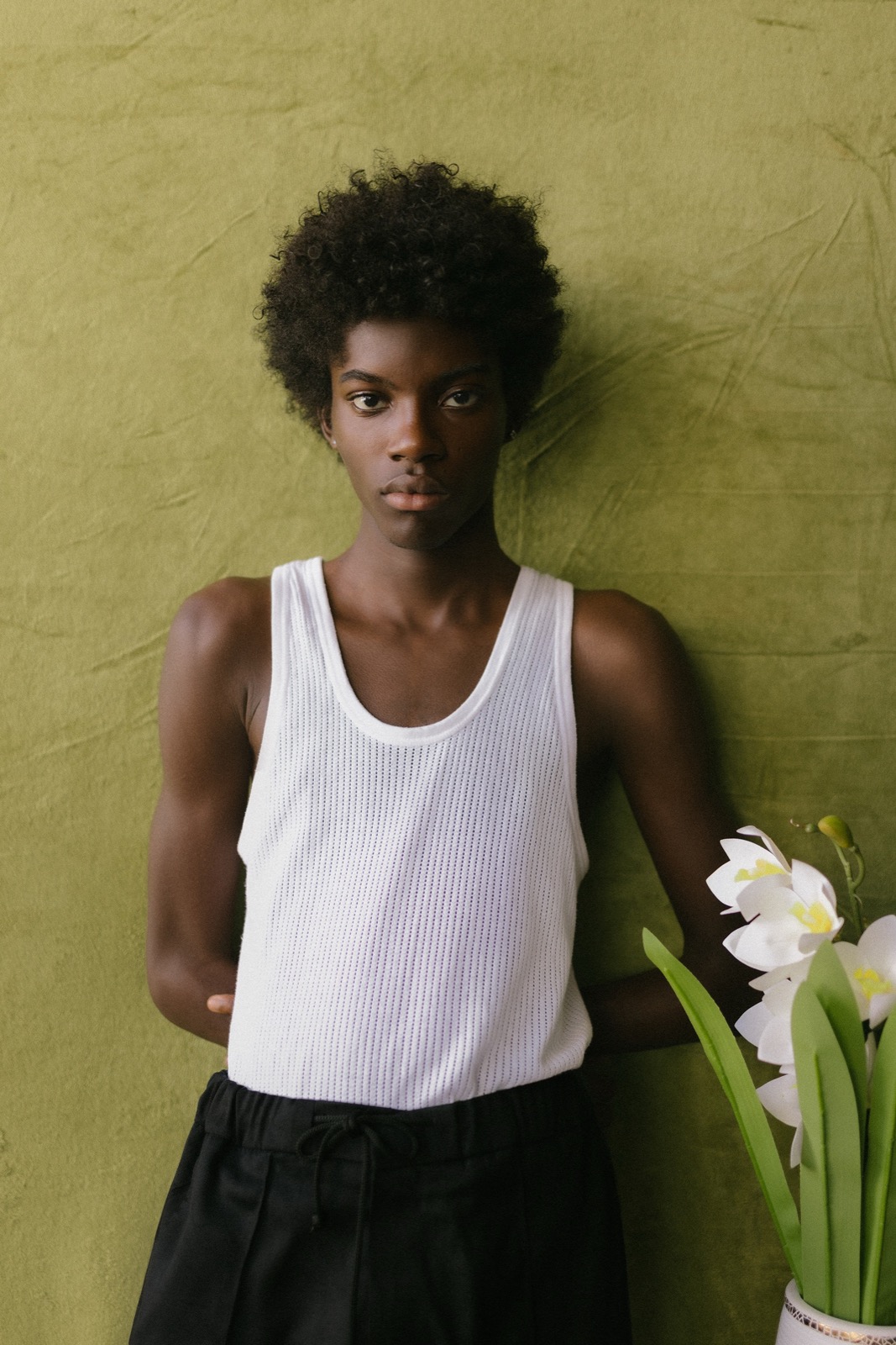 Flower Boy (Aperture Cover)