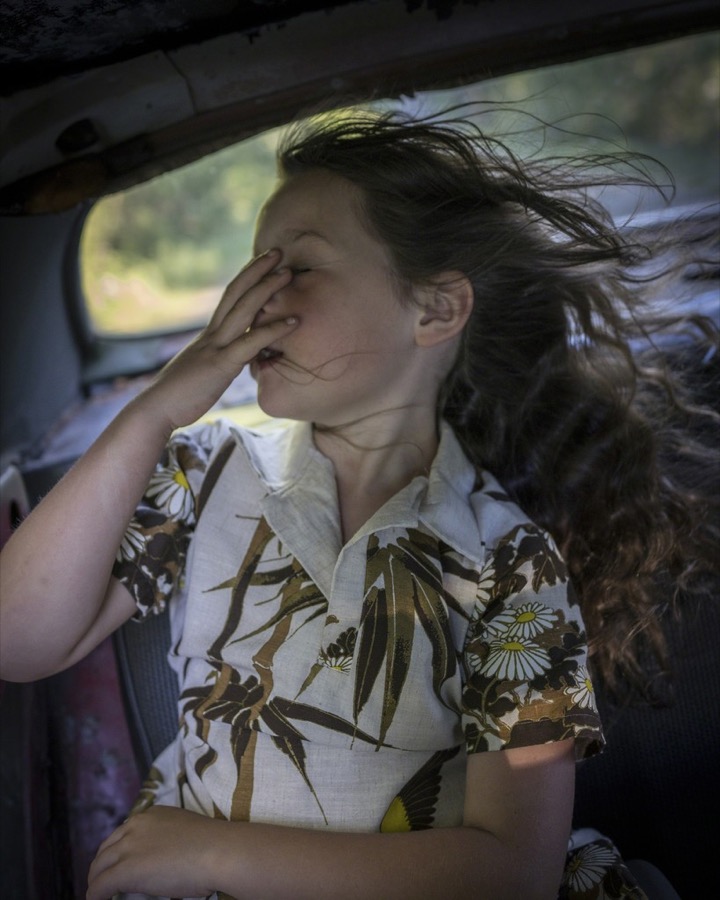 The Wind, Scout, Camden, Maine