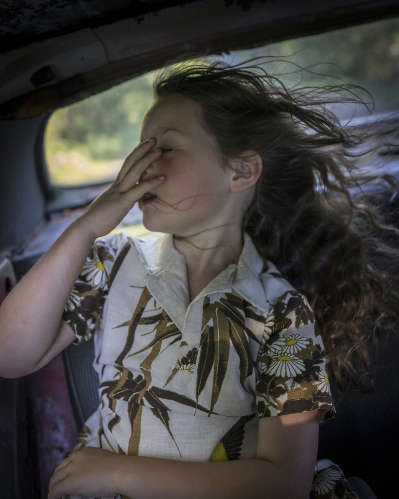 The Wind, Scout, Camden, Maine