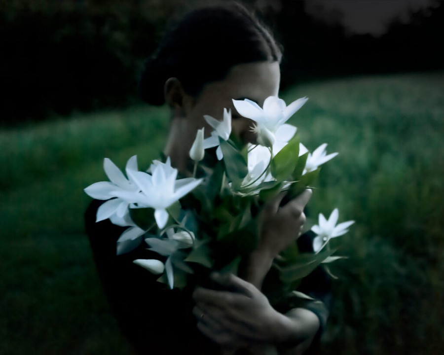 Clematis, (Emily Clutching), Rockport, Maine