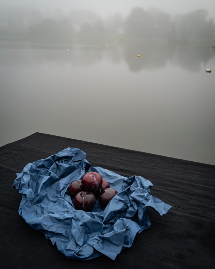 Five Plums Wrapped in Fog