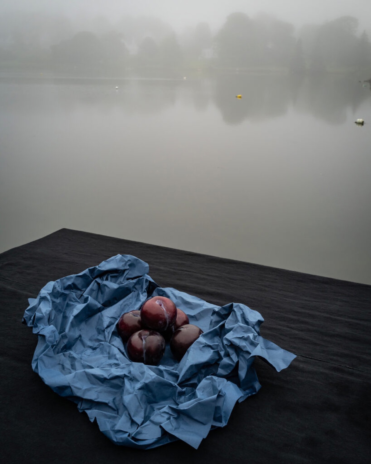Five Plums Wrapped in Fog