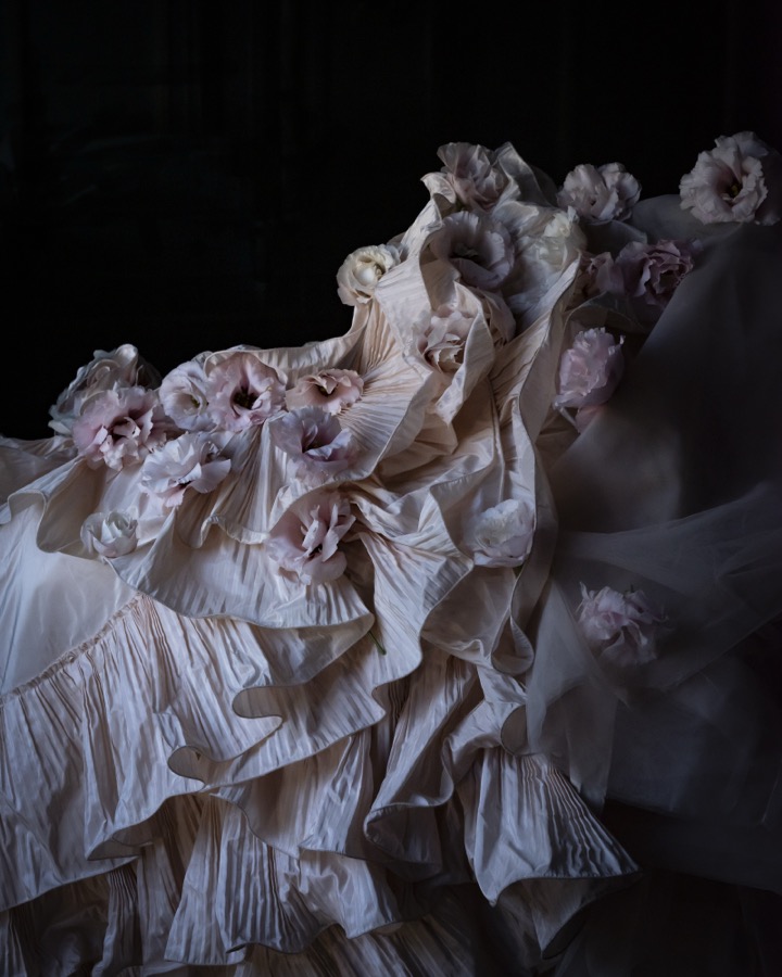 Carnations and Silk, Rockland, Maine