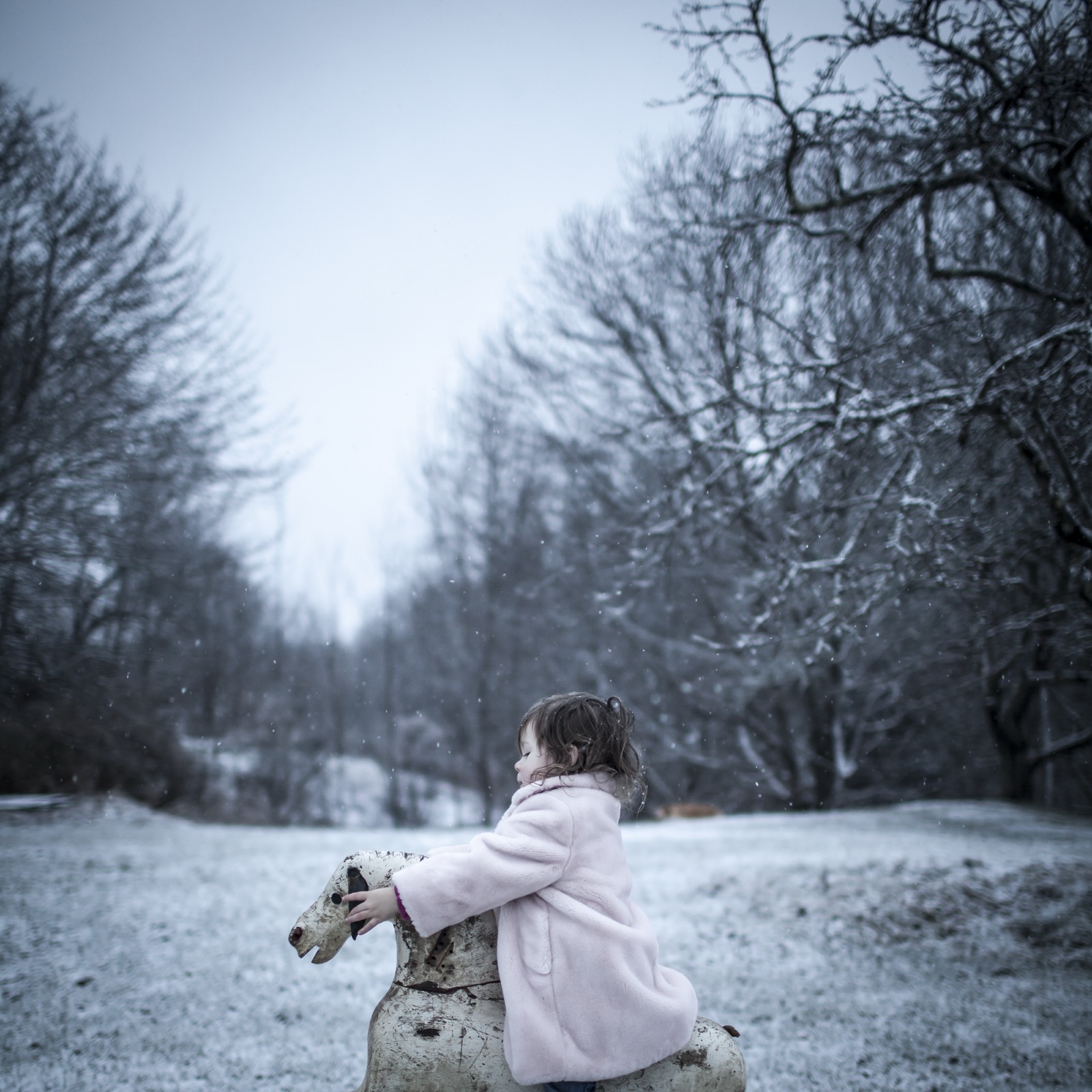Rocking Horse, Scout, Rockport, Maine