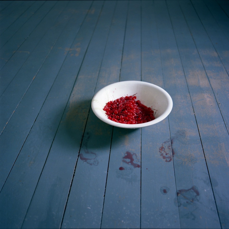 Bowl of Cherries, Rockport, Maine