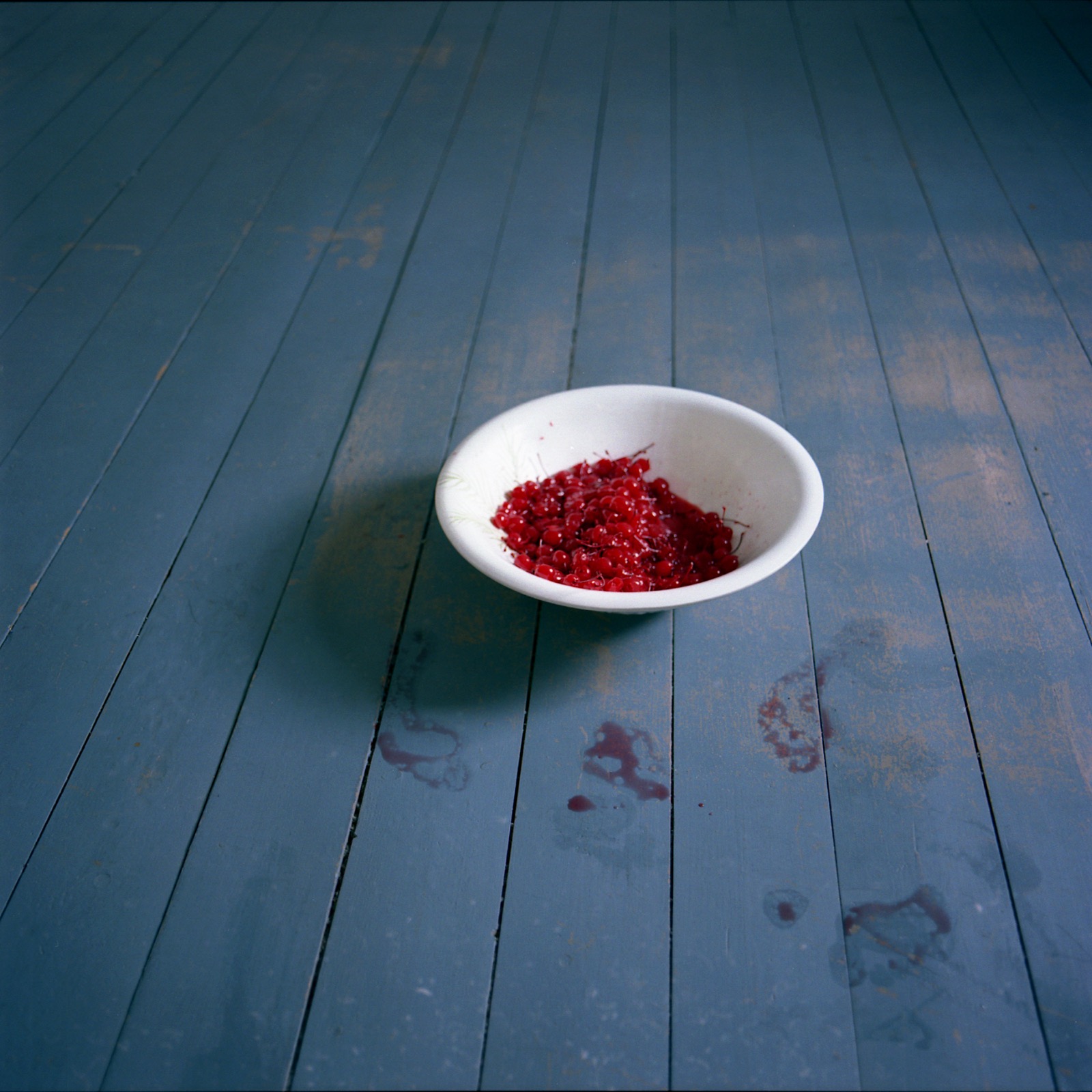 Bowl of Cherries, Rockport, Maine