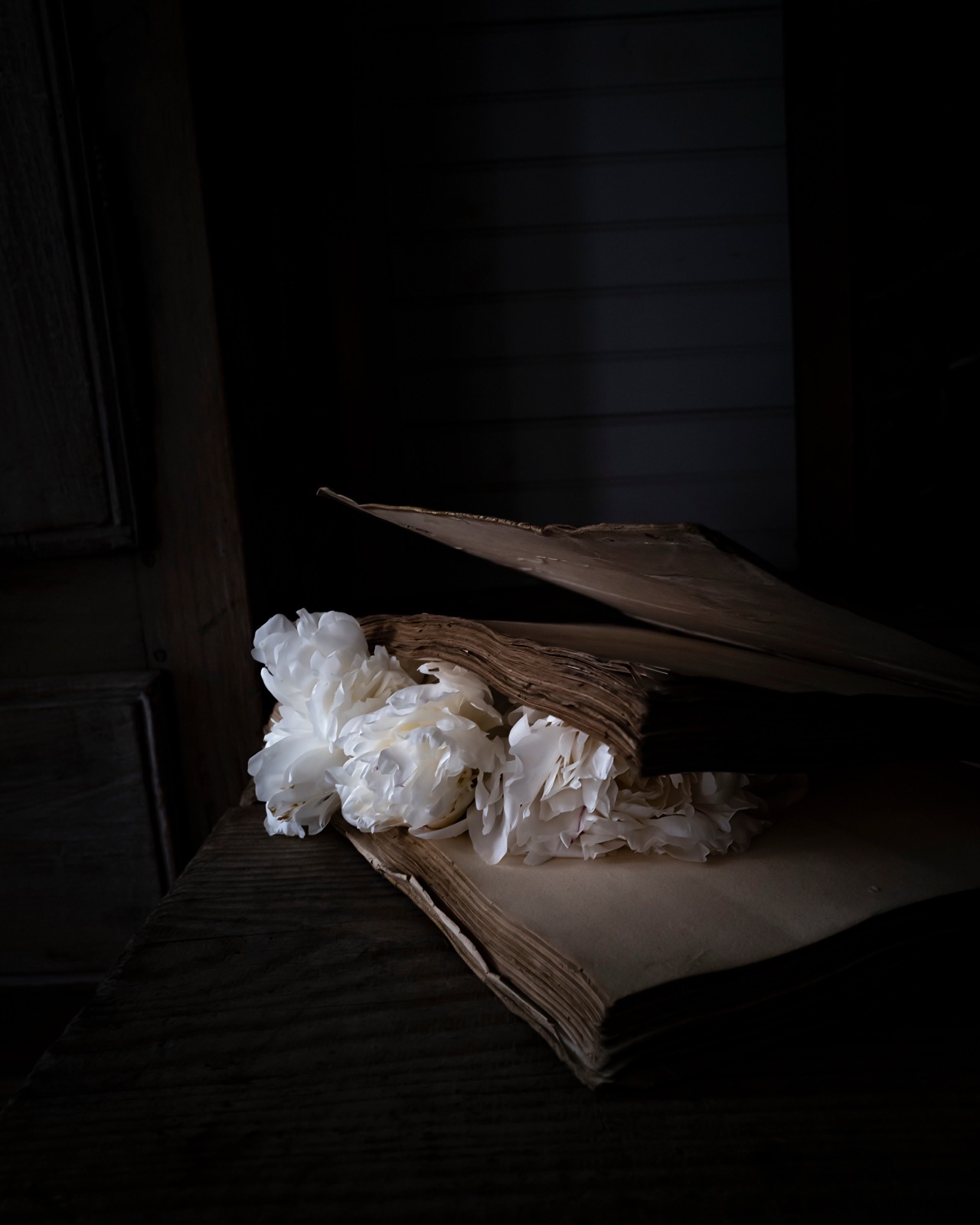 Flowers, When We have No Words, (White Peonies)
