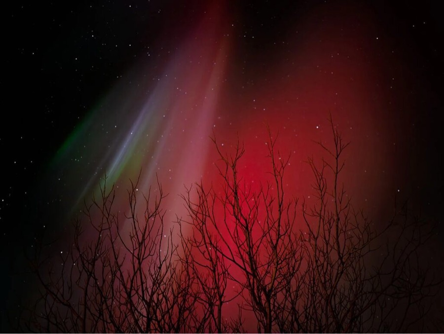 The Spectrum, Iceland