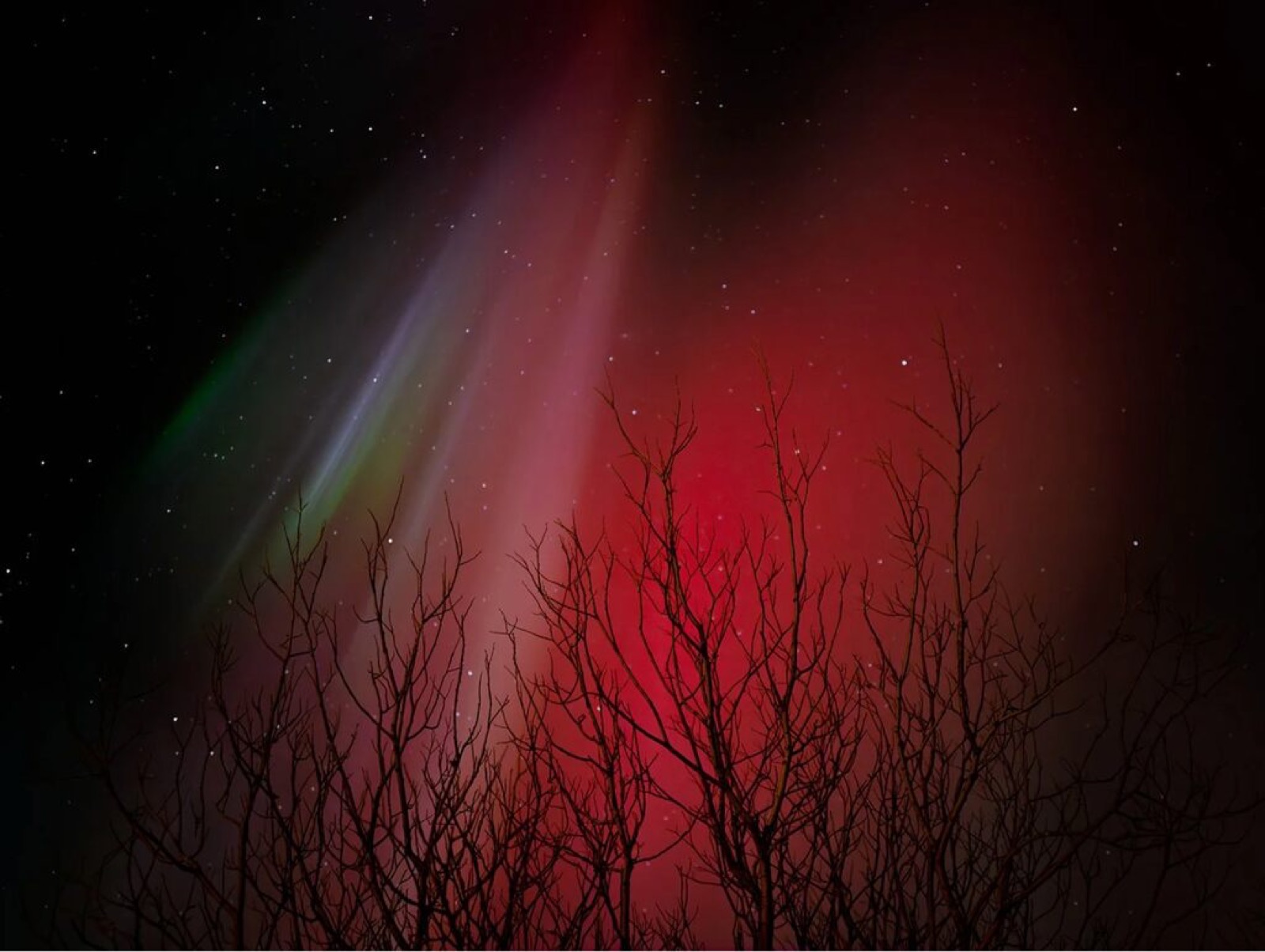 The Spectrum, Iceland
