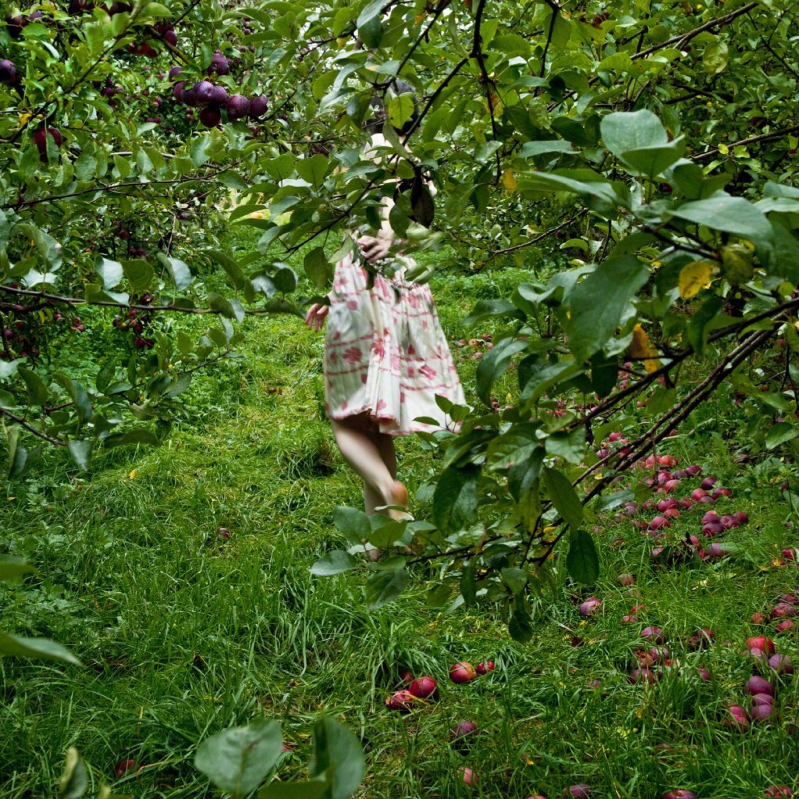 The Orchard, Warren, Maine