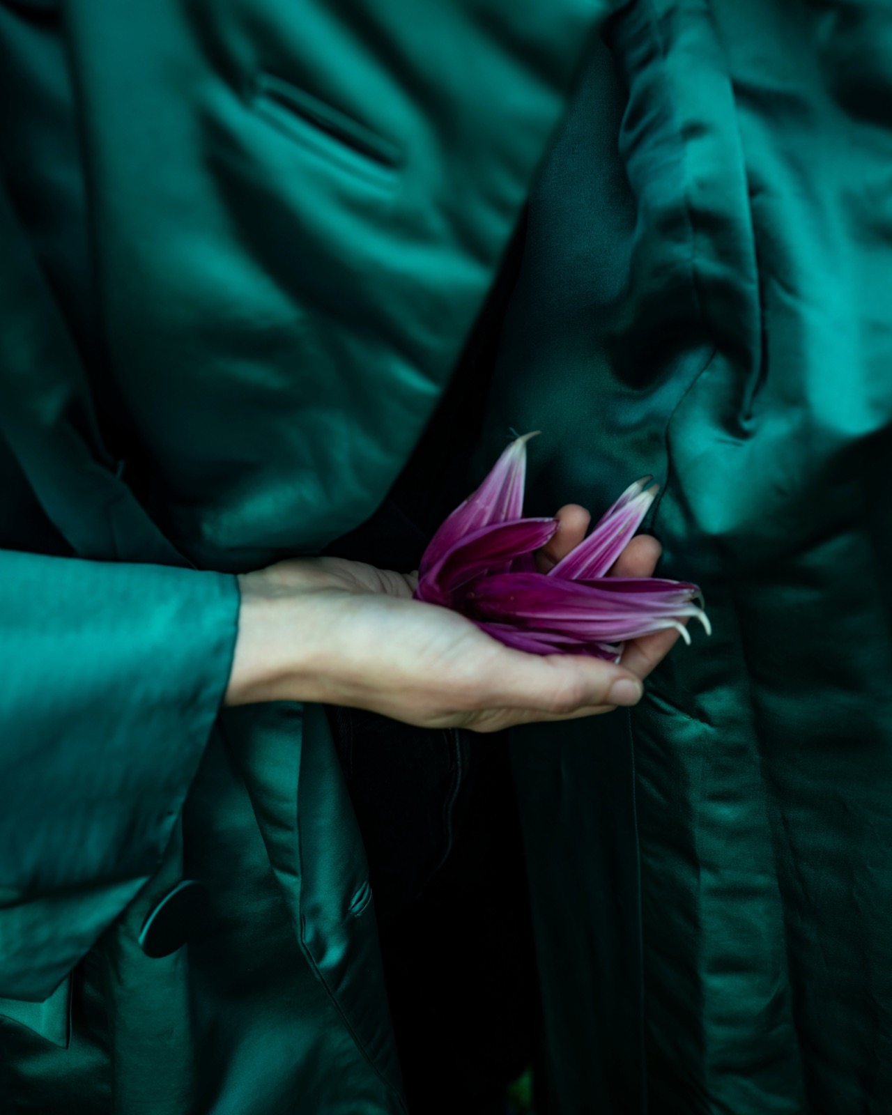 Emerald Coat with Dahlia Petal, Union, Maine