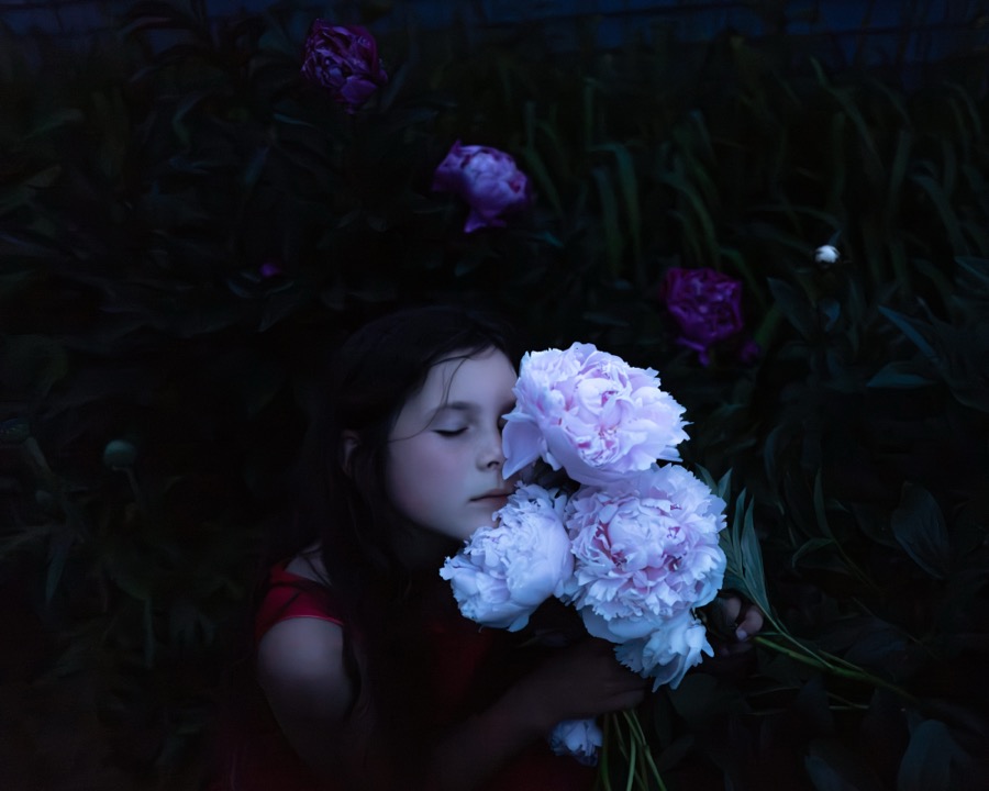 Scout & the Peonies, Rockport, Maine