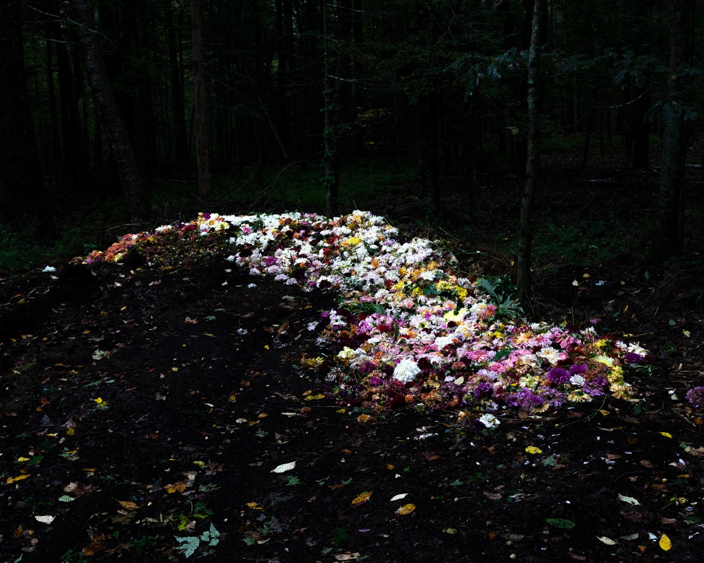 The Compost Heap, Camden, Maine