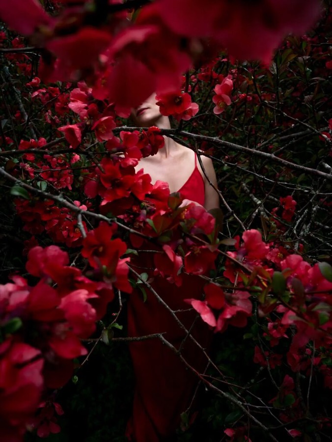 Quince (Ashley), Hope, Maine
