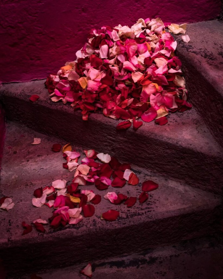 Rose Petals on the Stairs, Mexico