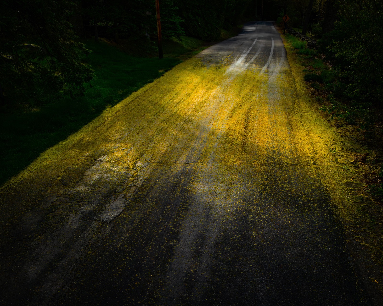 Gold Road, Candem