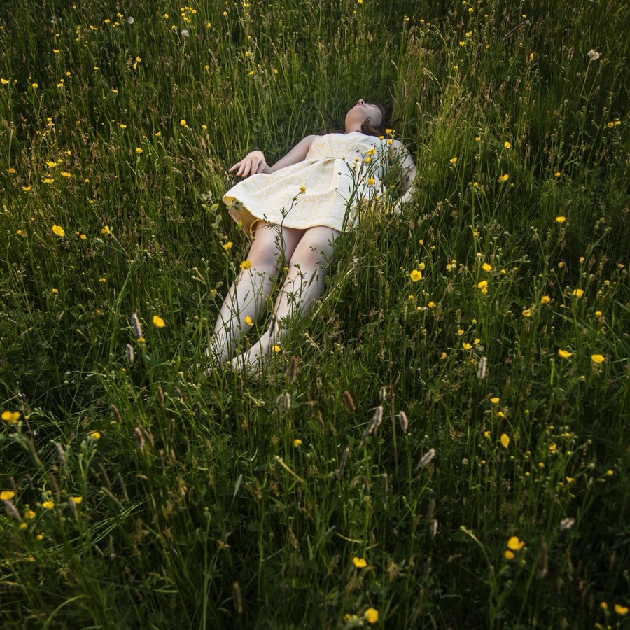 The Buttercups, Devin, Camden, Maine
