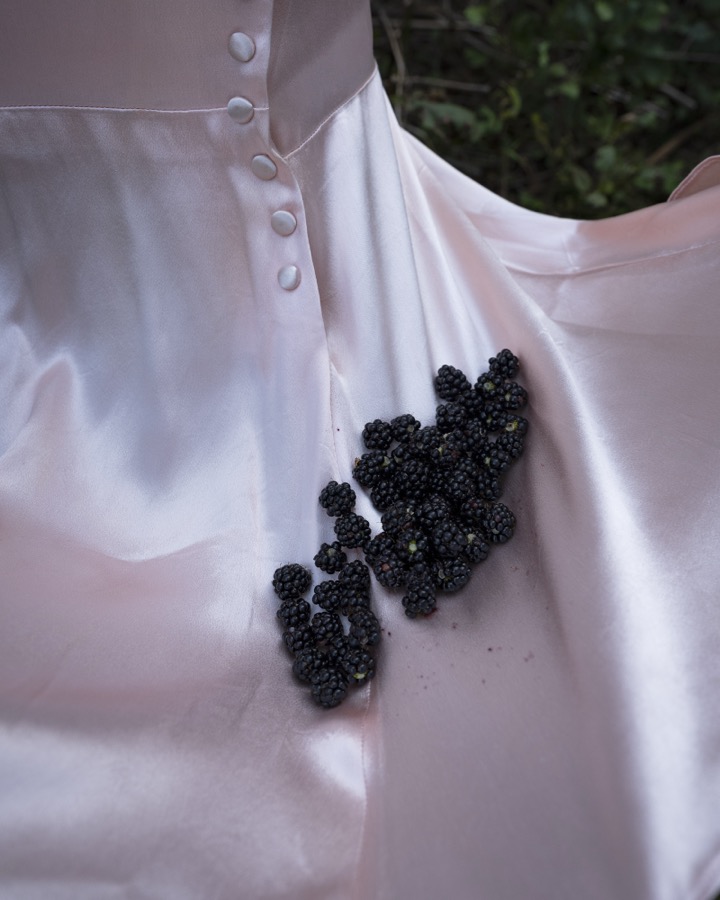 Blackberries, Dix's Island