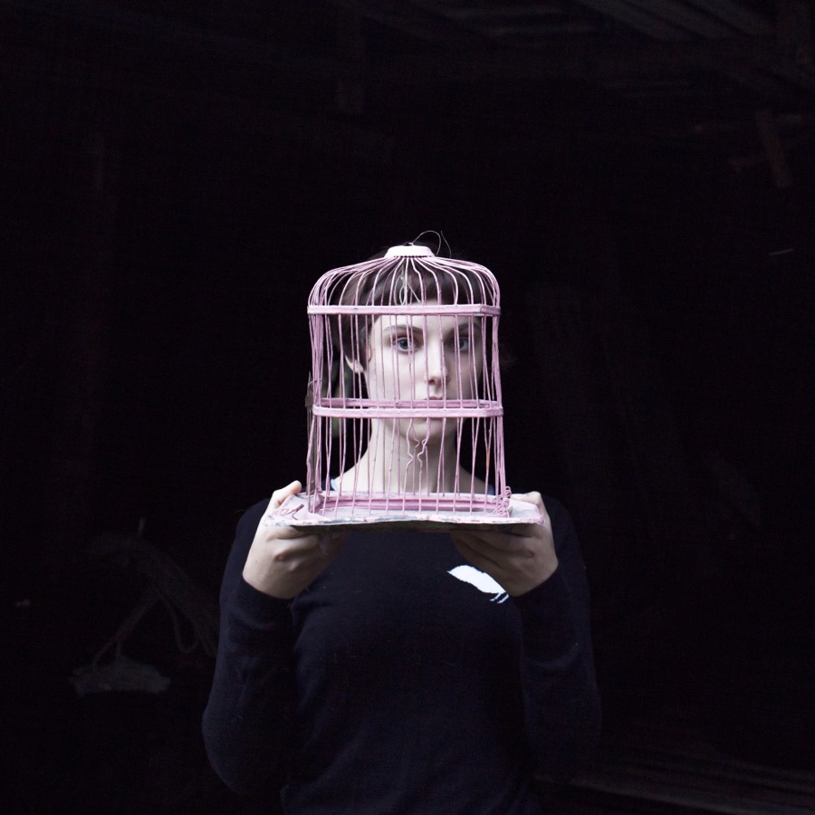Birdcage, Sadie, Tenants Harbor, Maine