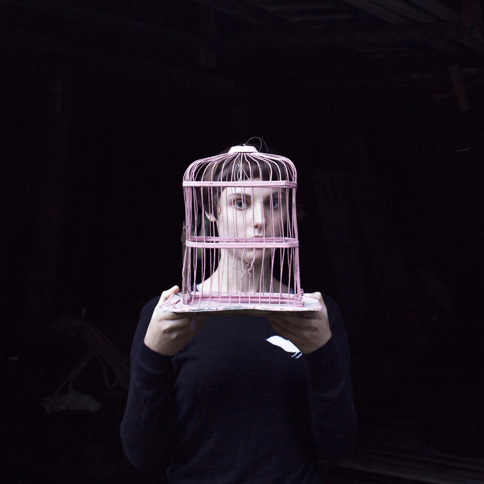 Birdcage, Sadie, Tenants Harbor, Maine