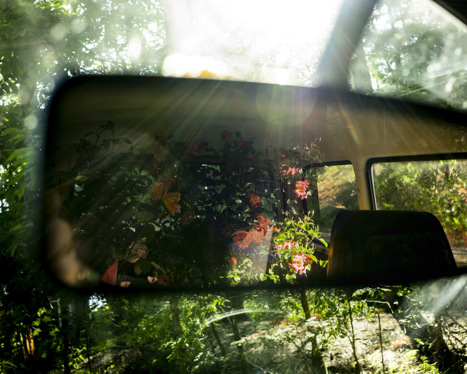 Rear View Mirror, Lincolnville, Maine