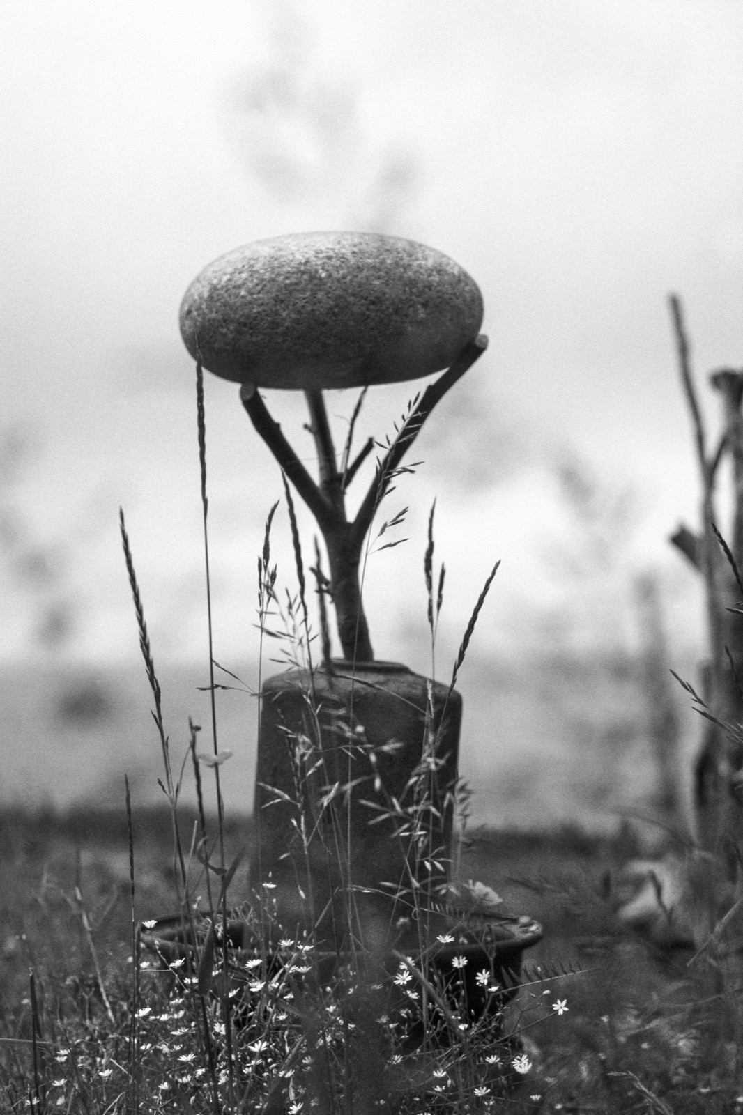 Stone Egg