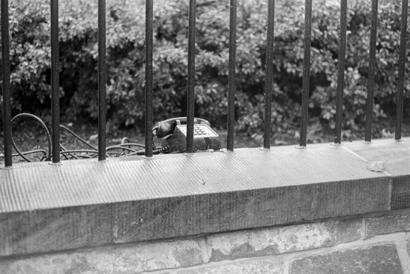 Phone, White House Lawn