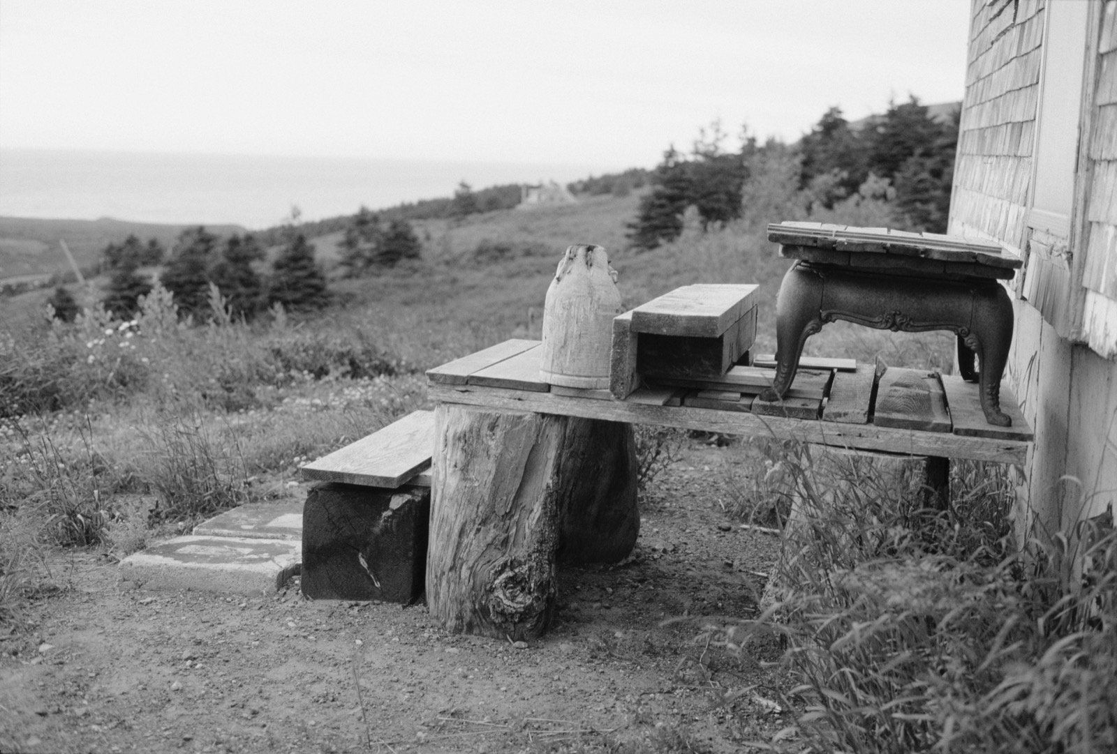 Driftwood Steps