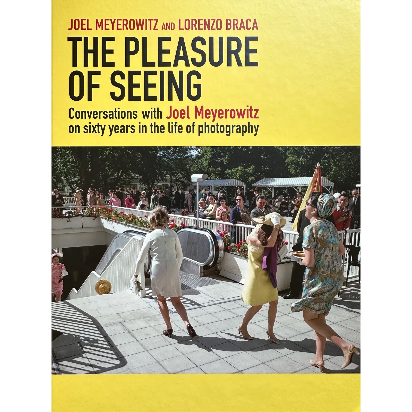 The pleasure of seeing