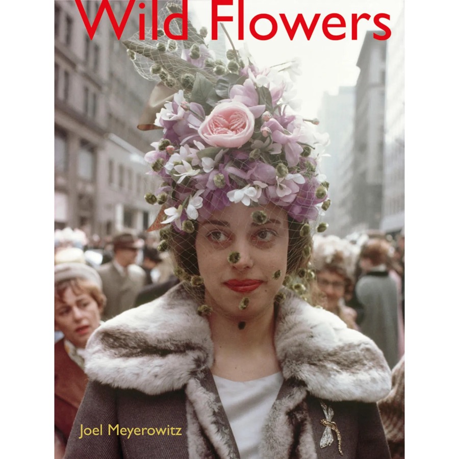 Wild flowers