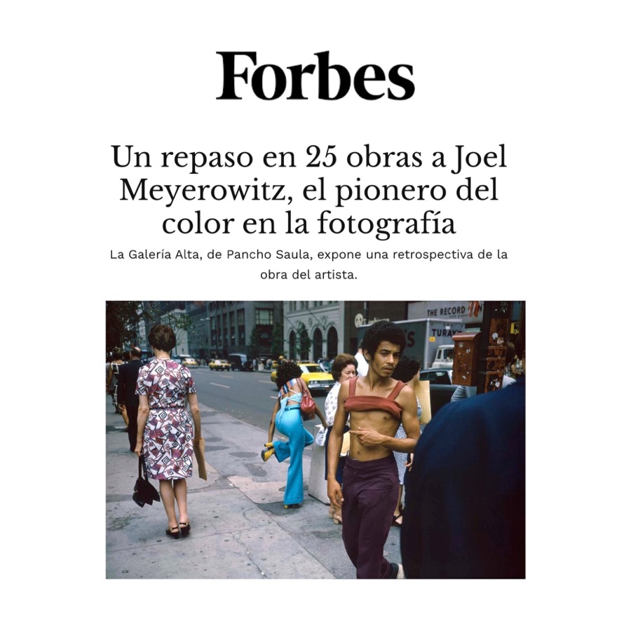Joel Meyerowitz, el Mago del Color
