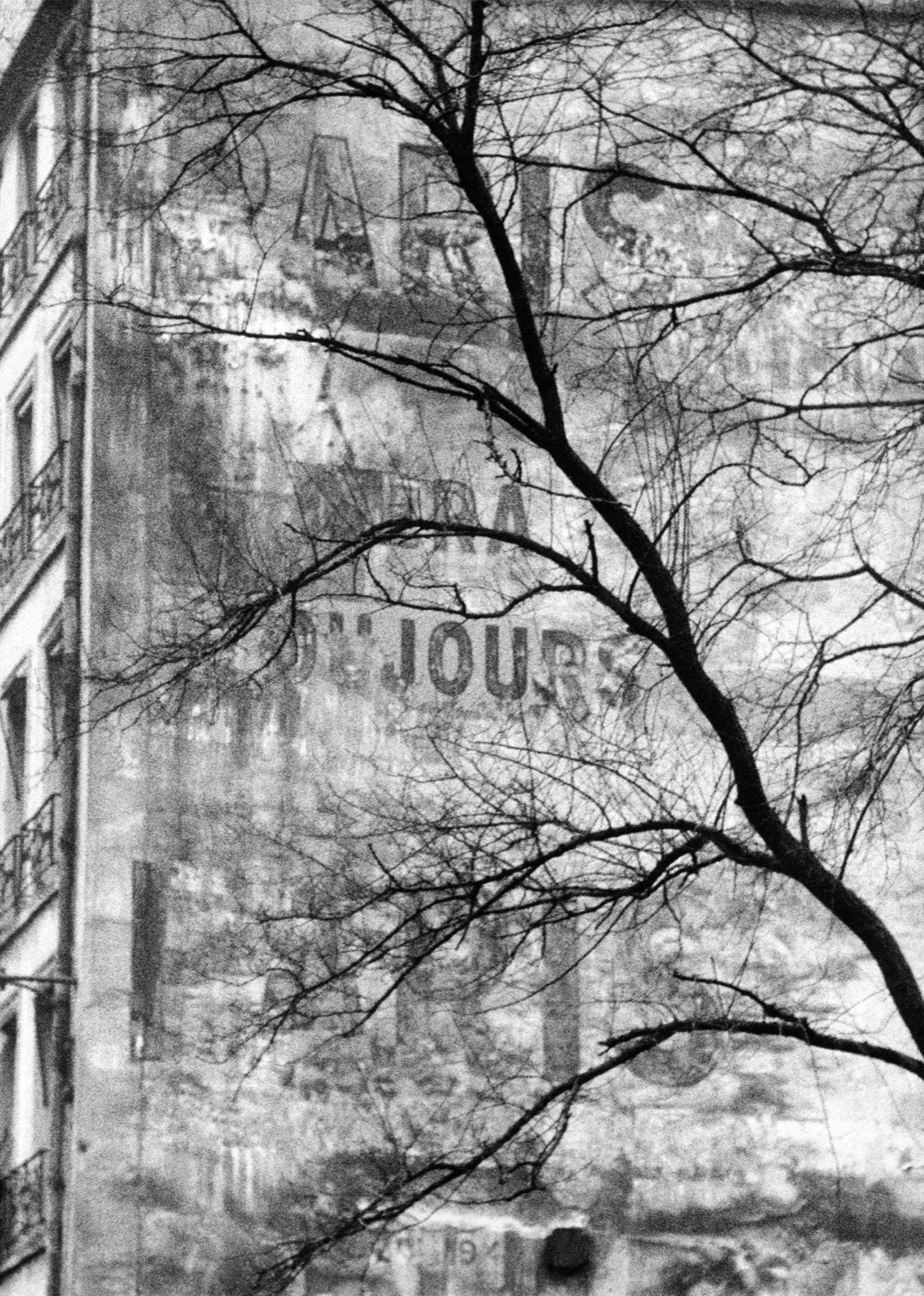 Old advertising and bare tree, Paris