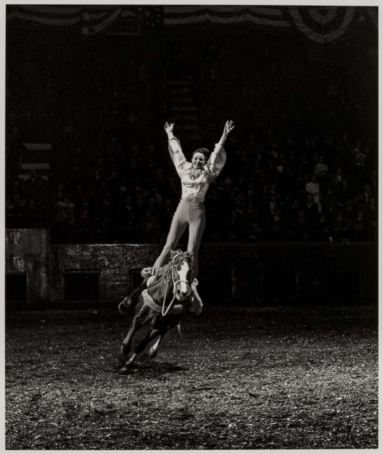 A Girl and her Horse