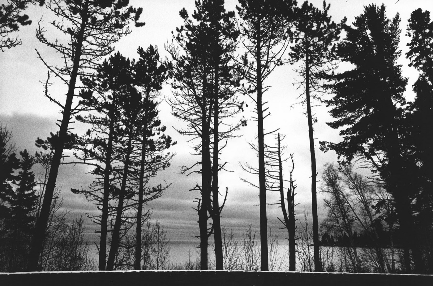 Minnesota, from the series, "Highway 61"