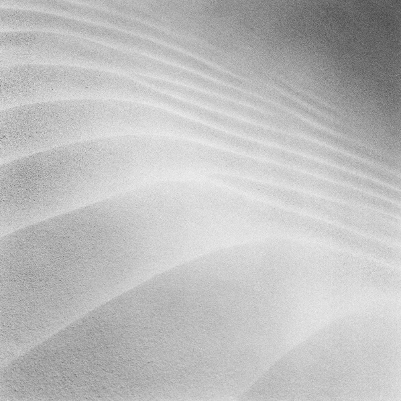 Sand Dune