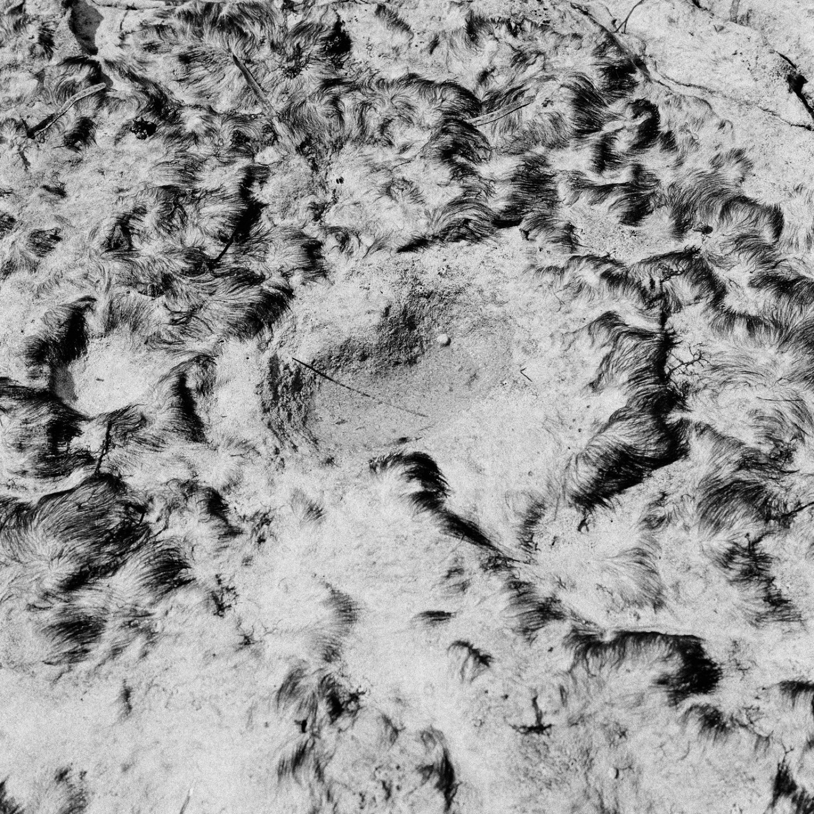 Seabed