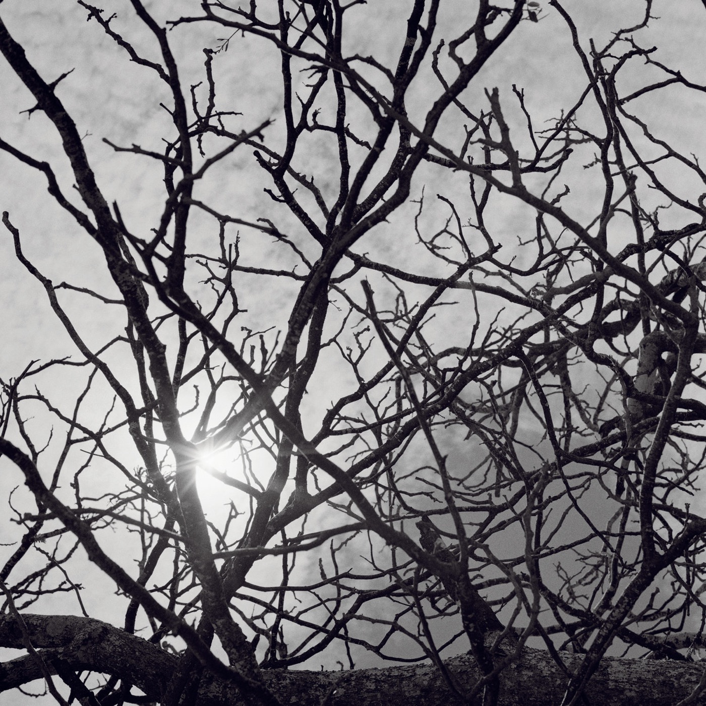Untangled