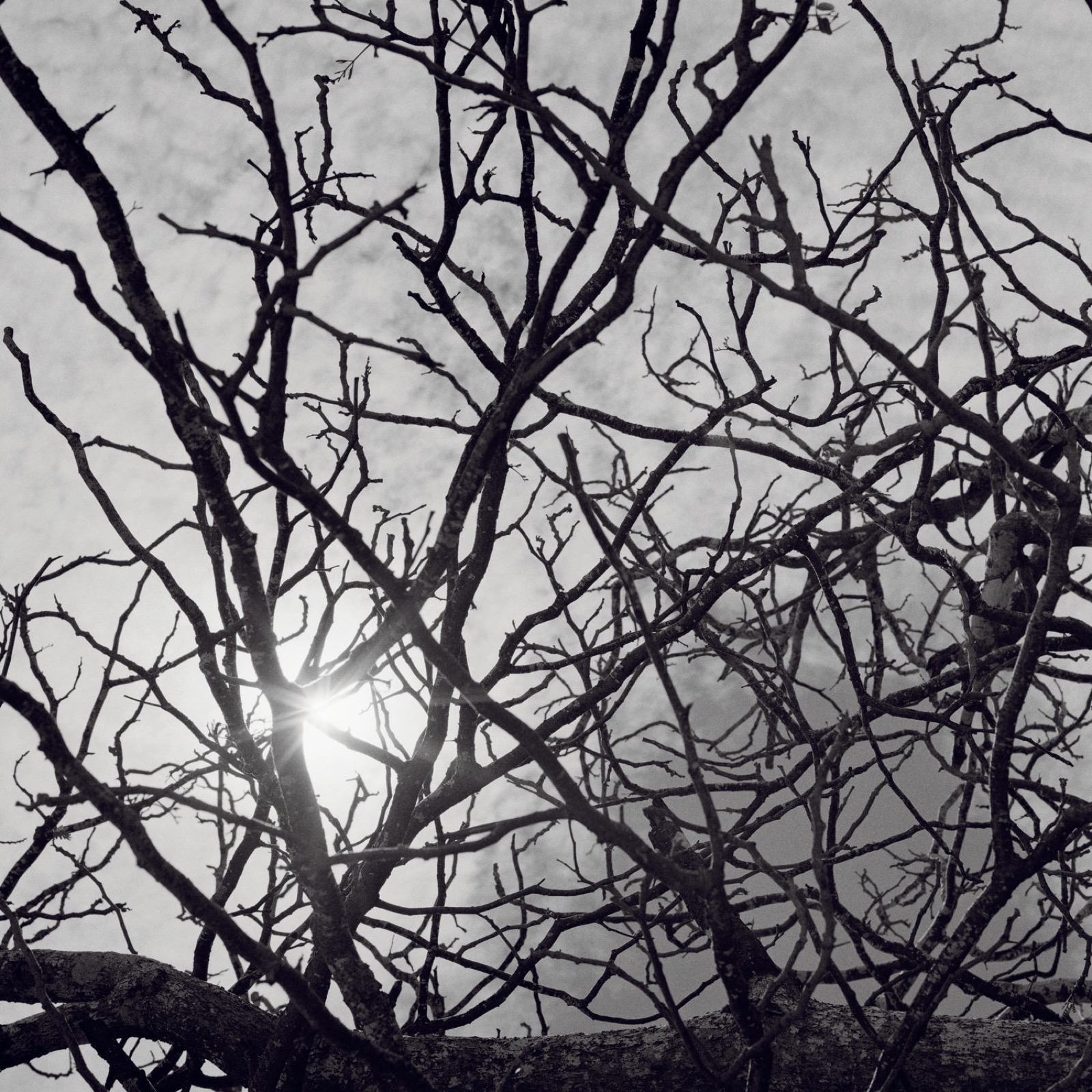 Untangled