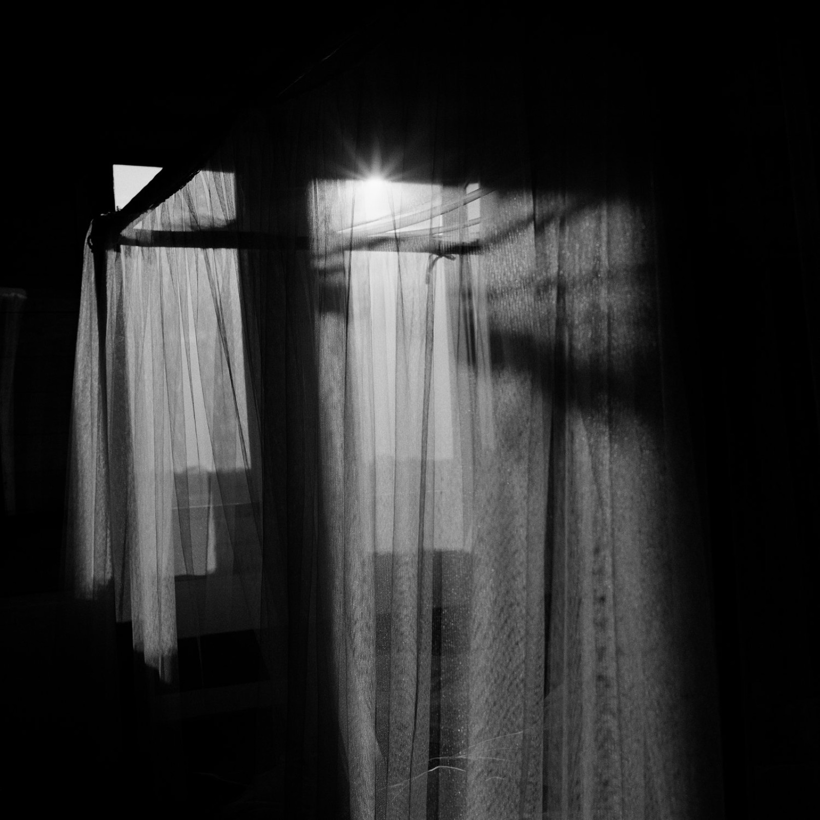 Morning Light