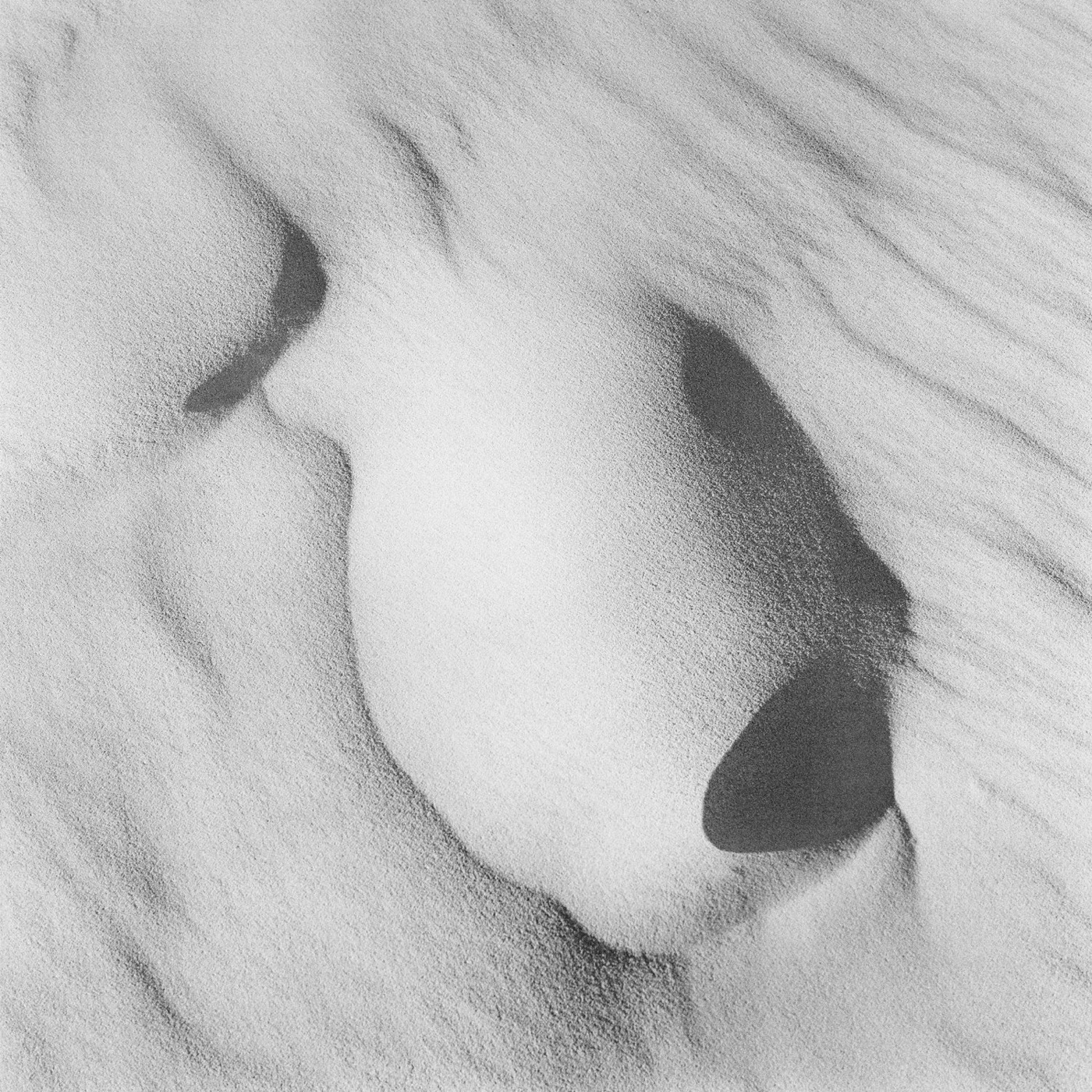 Sand Hills