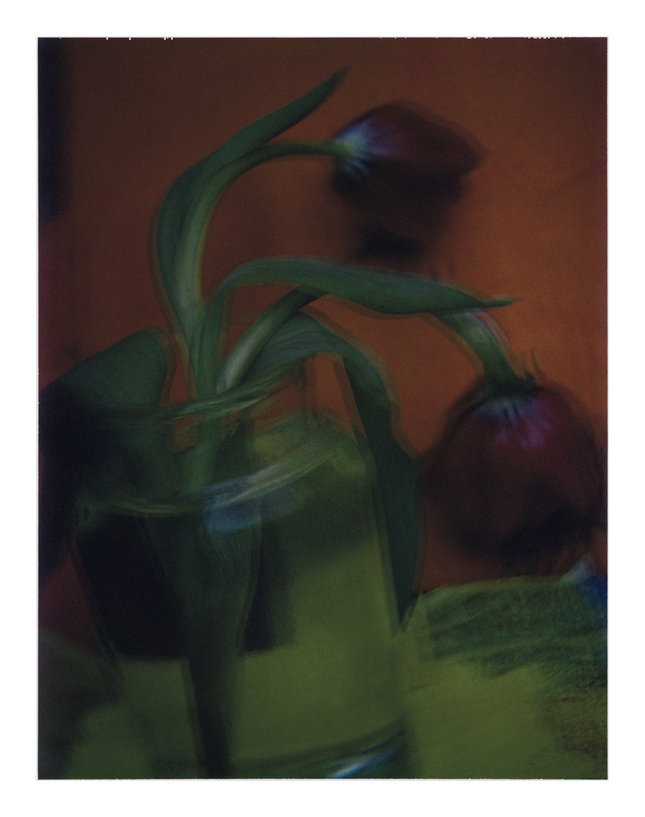 Les tulipes