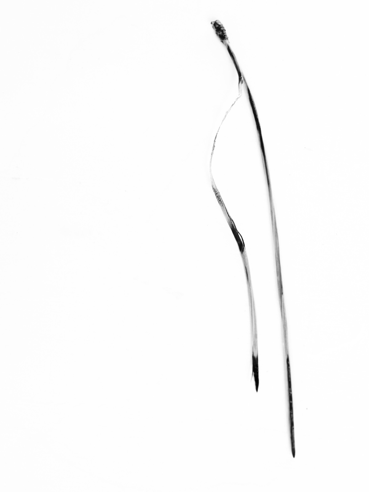 Needles